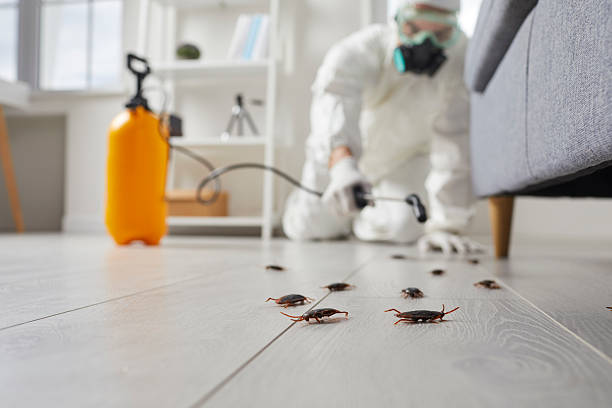 Commercial Kitchen Cockroach Control in Cedartown
